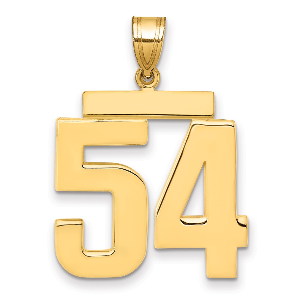 14K Yellow Gold Large Polished Number 54 Charm