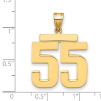 14K Yellow Gold Large Polished Number 55 Charm view 2