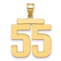 14K Yellow Gold Large Polished Number 55 Charm view 1
