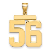 14K Yellow Gold Large Polished Number 56 Charm view 1