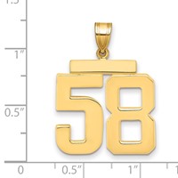 14K Yellow Gold Large Polished Number 58 Charm view 2