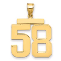14K Yellow Gold Large Polished Number 58 Charm view 1