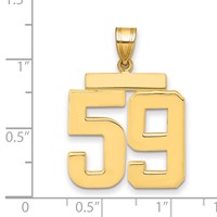 14K Yellow Gold Large Polished Number 59 Charm view 2