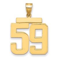 14K Yellow Gold Large Polished Number 59 Charm view 1
