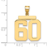 14K Large Polished Number 60 Charm view 2