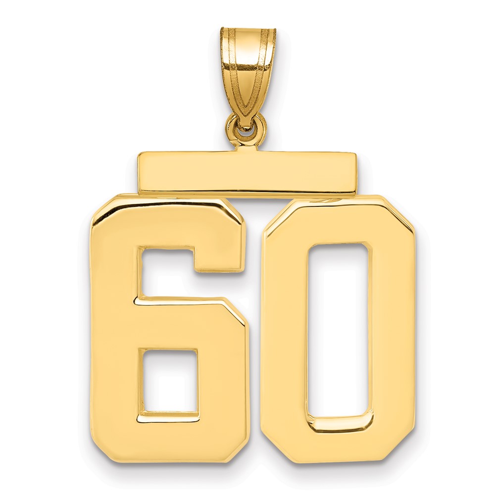 14K Large Polished Number 60 Charm