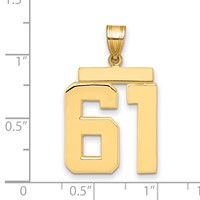 14K Large Polished Number 61 Charm view 2