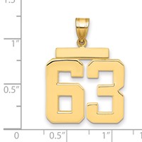 14K Yellow Gold Large Polished Number 63 Charm view 2