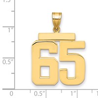 14K Large Polished Number 65 Charm view 2