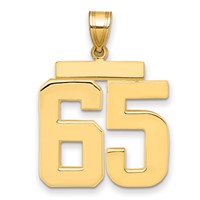 14K Large Polished Number 65 Charm view 1