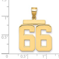 14K Yellow Gold Large Polished Number 66 Charm view 2
