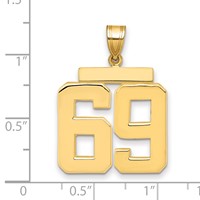 14K Yellow Gold Large Polished Number 69 Charm view 2
