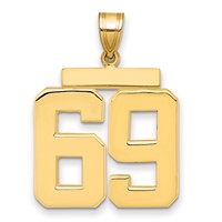 14K Yellow Gold Large Polished Number 69 Charm view 1