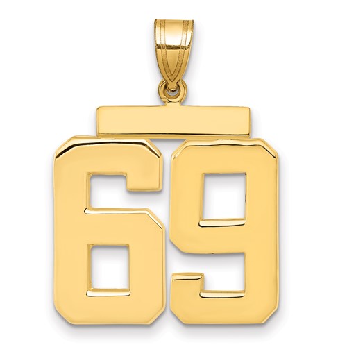 14K Yellow Gold Large Polished Number 69 Charm