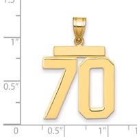 14K Yellow Gold Large Polished Number 70 Charm view 2