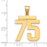 14K Large Polished Number 75 Charm view 2