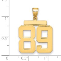 14K Yellow Gold Large Polished Number 89 Charm view 2