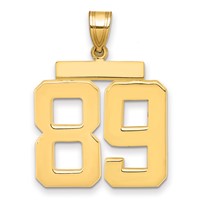 14K Yellow Gold Large Polished Number 89 Charm view 1