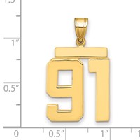 14K Yellow Gold Large Polished Number 91 Charm view 2