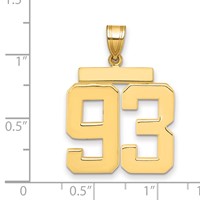 14K Yellow Gold Large Polished Number 93 Charm view 2