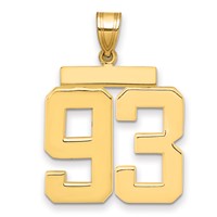 14K Yellow Gold Large Polished Number 93 Charm view 1
