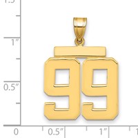 14K Yellow Gold Large Polished Number 99 Charm view 2