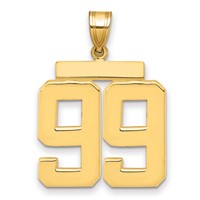 14K Yellow Gold Large Polished Number 99 Charm view 1