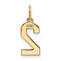 14K Yellow Gold Small Polished Number 2 Charm view 3