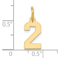14K Yellow Gold Small Polished Number 2 Charm view 4