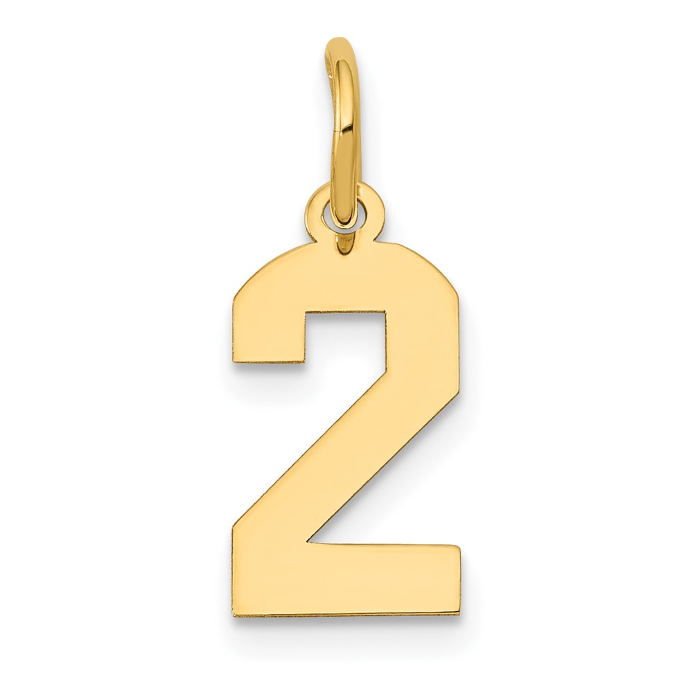 14K Yellow Gold Small Polished Number 2 Charm