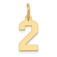 14K Yellow Gold Small Polished Number 2 Charm view 1
