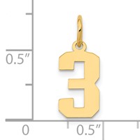 14K Yellow Gold Small Polished Number 3 Charm view 4
