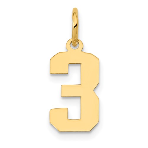 14K Yellow Gold Small Polished Number 3 Charm