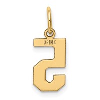 14K Yellow Gold Small Polished Number 5 Charm view 3