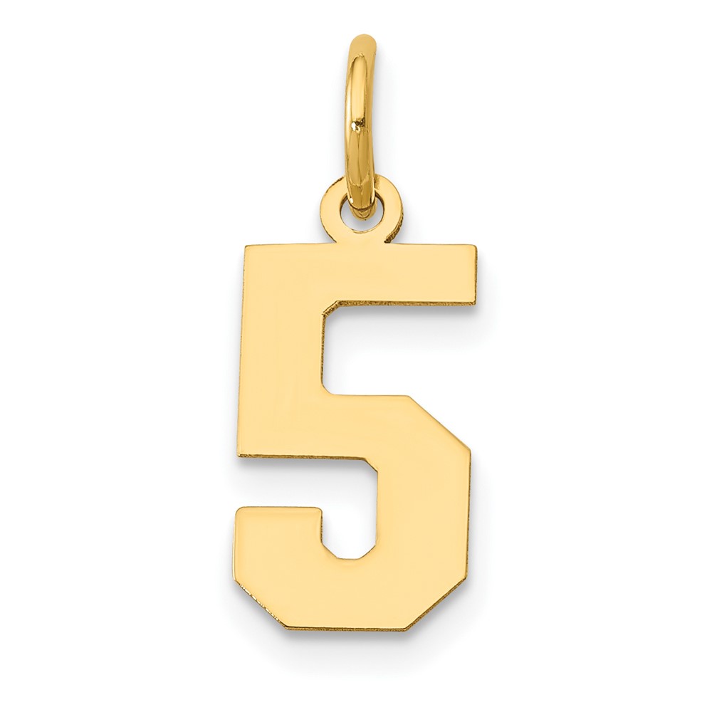 14K Yellow Gold Small Polished Number 5 Charm