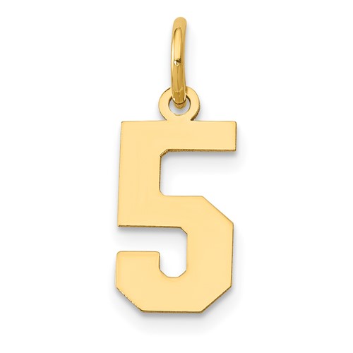 14K Yellow Gold Small Polished Number 5 Charm