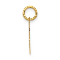 14K Yellow Gold Small Polished Number 6 Charm view 2