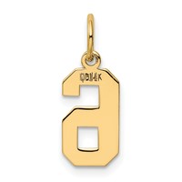 14K Yellow Gold Small Polished Number 6 Charm view 3