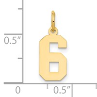 14K Yellow Gold Small Polished Number 6 Charm view 4