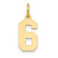 14K Yellow Gold Small Polished Number 6 Charm view 1