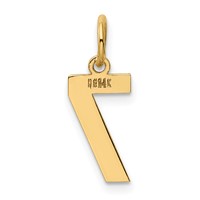 14K Yellow Gold Small Polished Number 7 Charm view 3