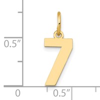 14K Yellow Gold Small Polished Number 7 Charm view 4