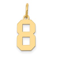 14K Yellow Gold Small Polished Number 8 Charm view 1