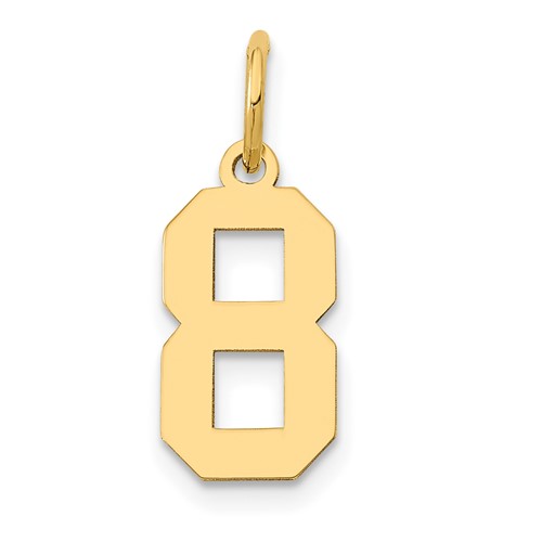 14K Yellow Gold Small Polished Number 8 Charm