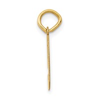 14K Yellow Gold Small Polished Number 9 Charm view 2