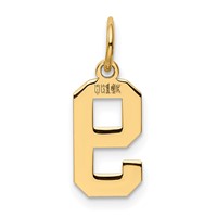 14K Yellow Gold Small Polished Number 9 Charm view 3