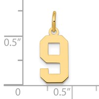 14K Yellow Gold Small Polished Number 9 Charm view 4