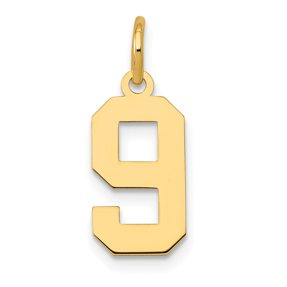 14K Yellow Gold Small Polished Number 9 Charm