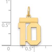 14K Yellow Gold Small Polished Number 10 Charm view 2
