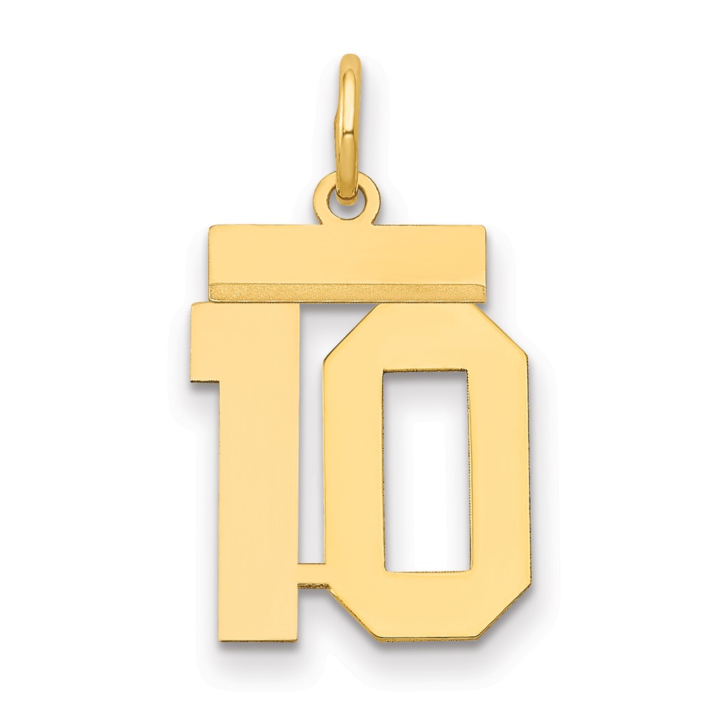 14K Yellow Gold Small Polished Number 10 Charm